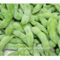 IQF gefroren edamame